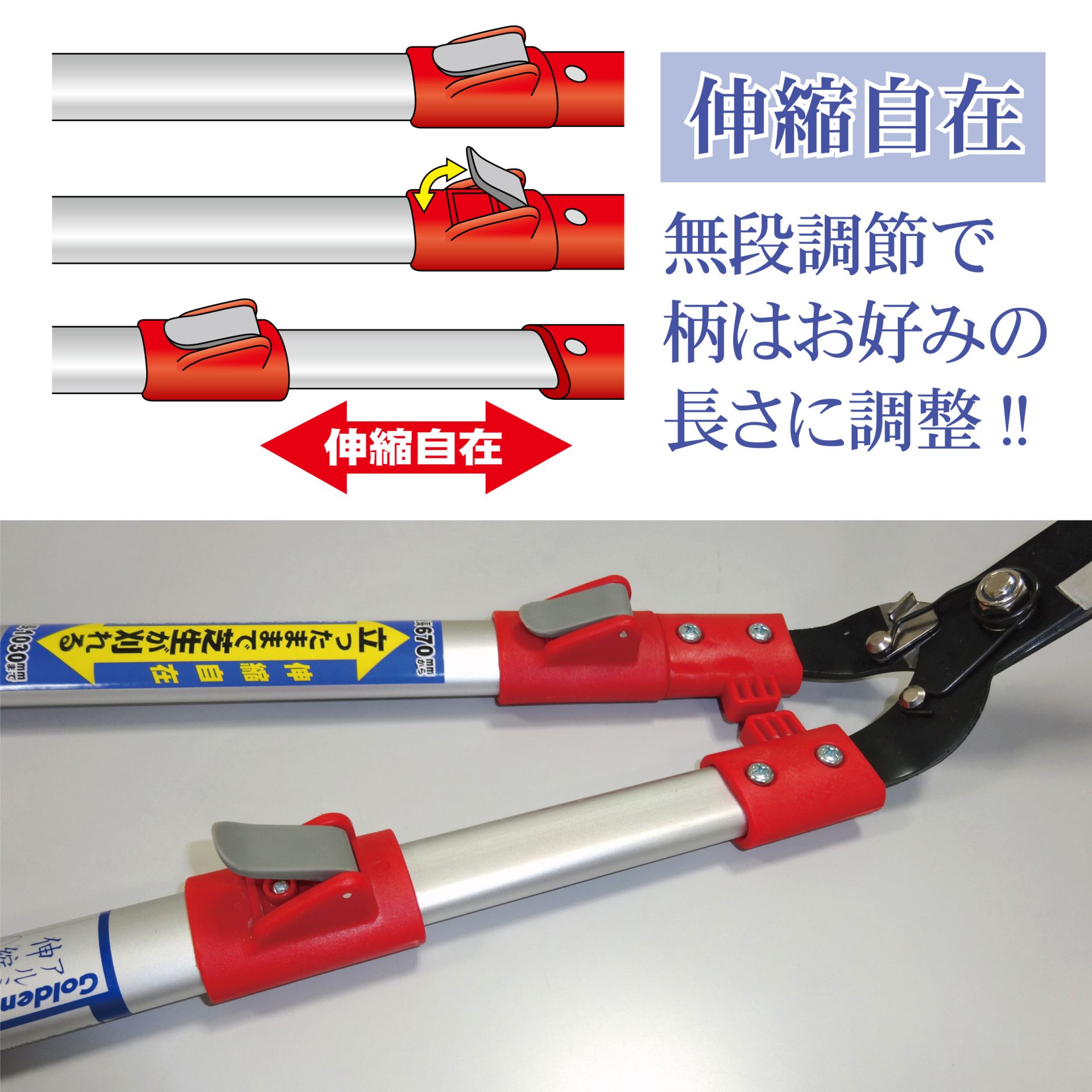2036 - キンボシ株式会社