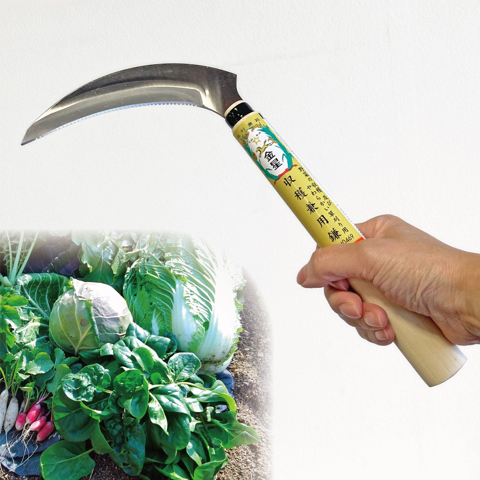 140469 - キンボシ株式会社