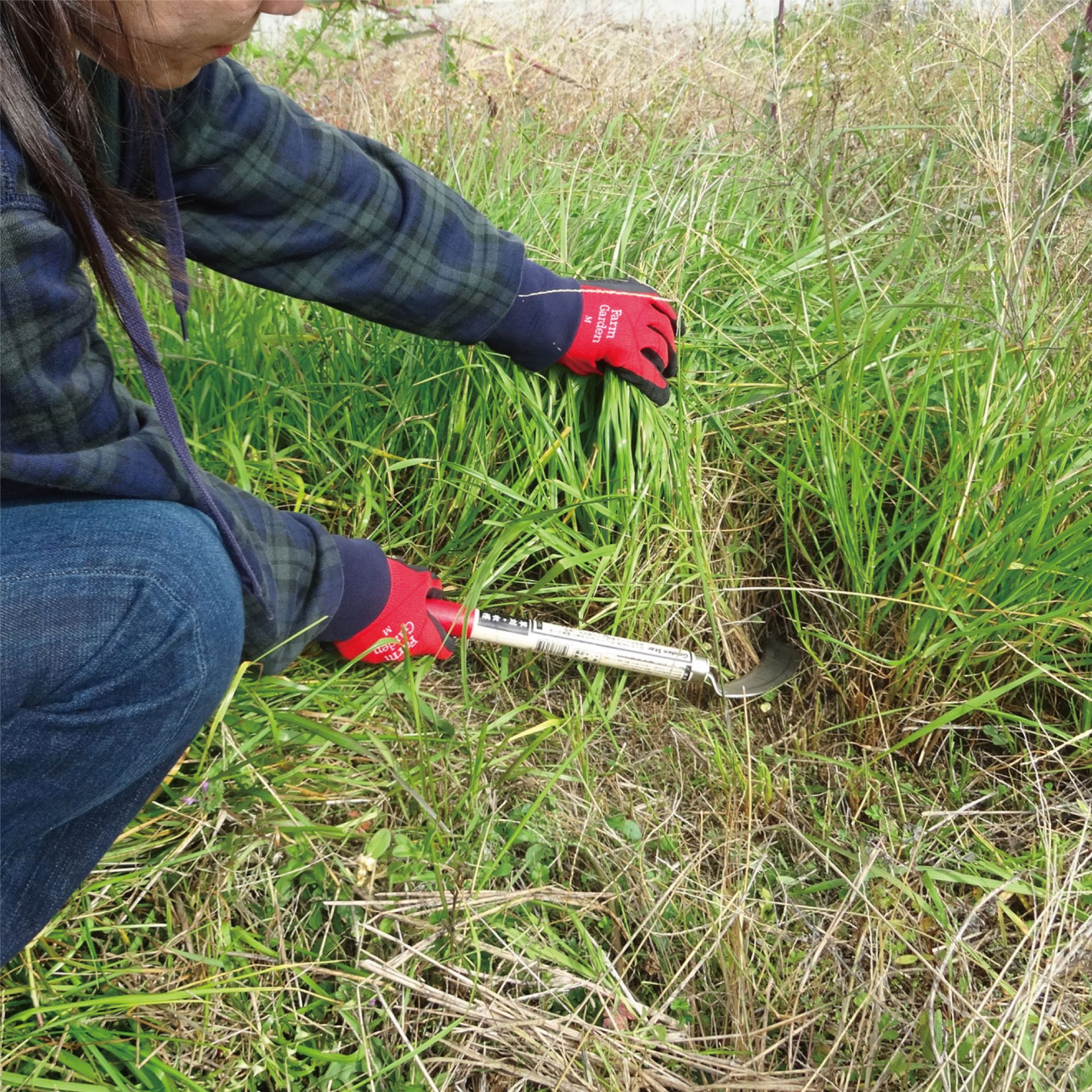 1645 - キンボシ株式会社