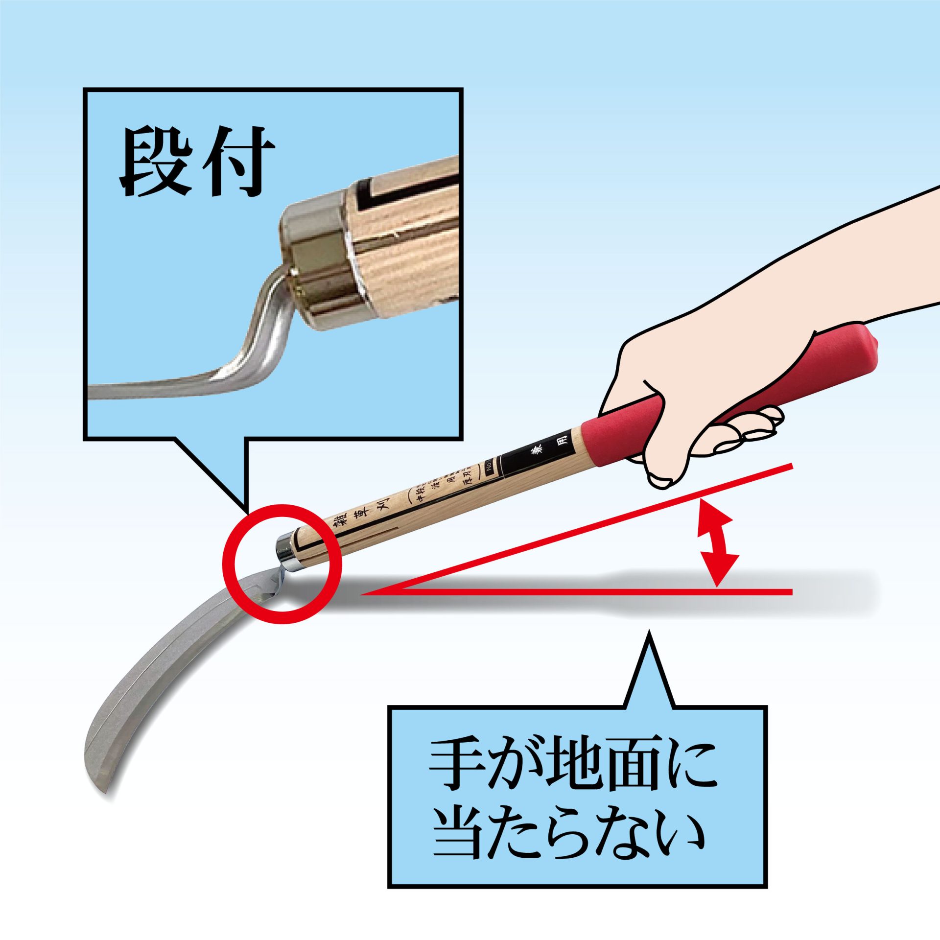 1645 - キンボシ株式会社