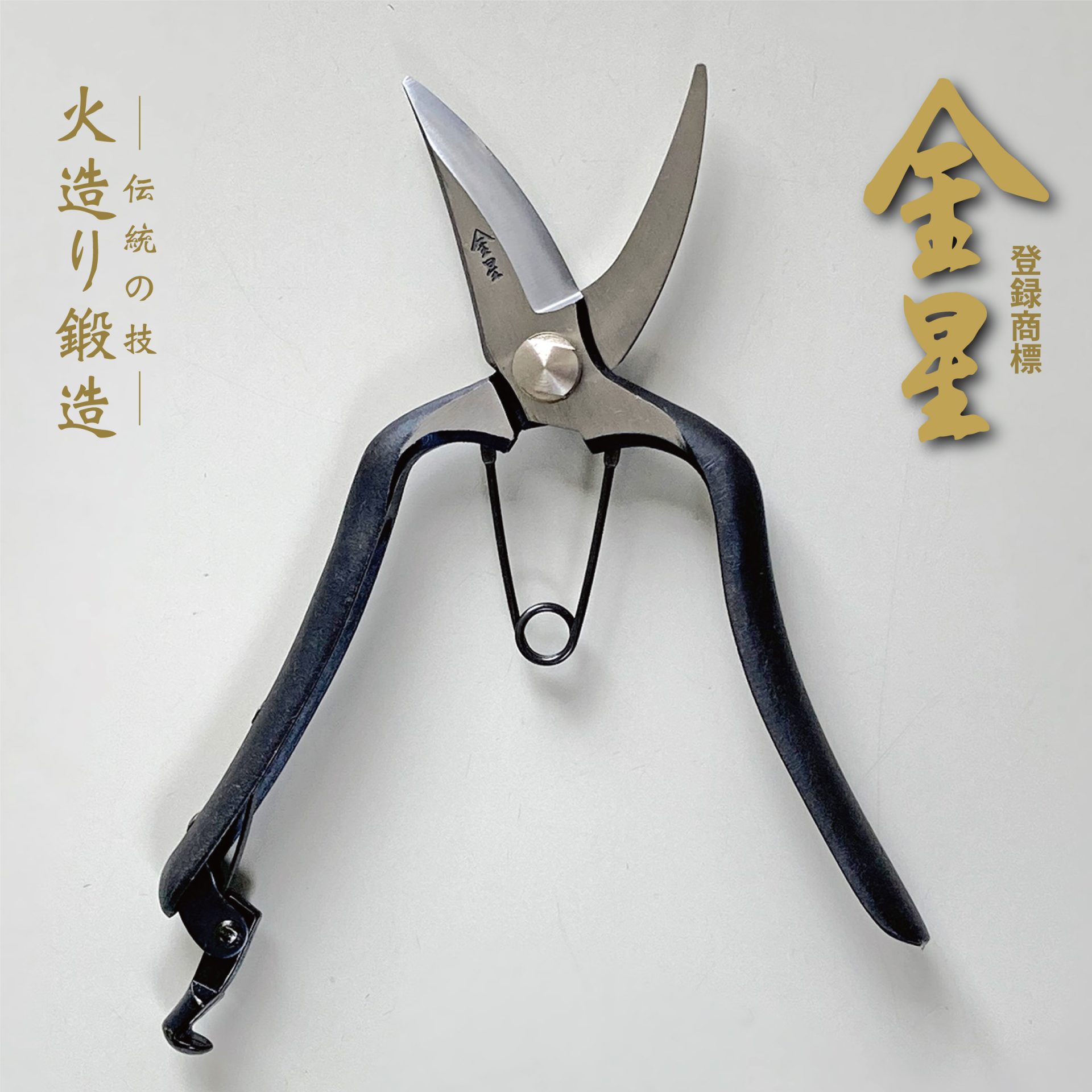 2503 - キンボシ株式会社