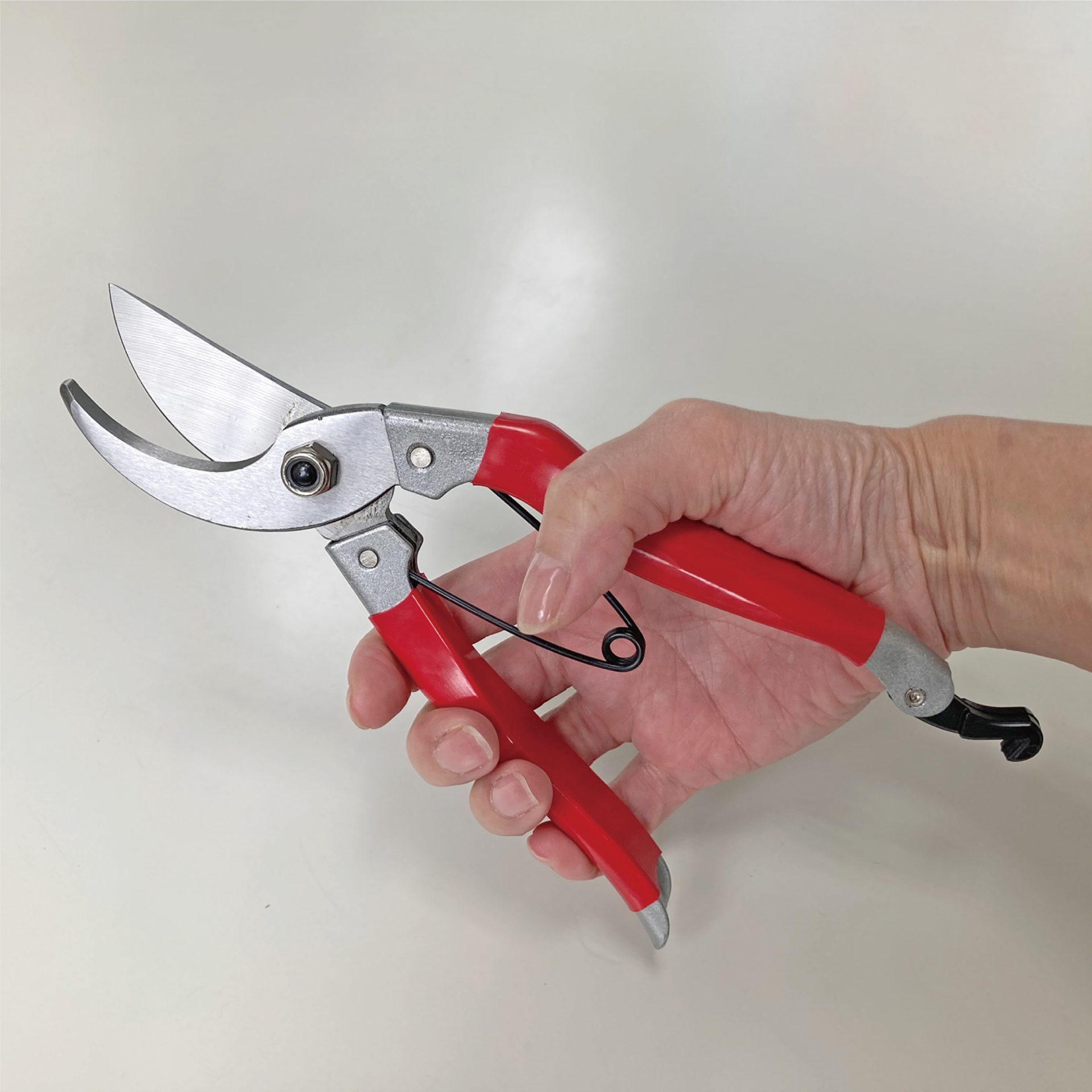 2246 - キンボシ株式会社