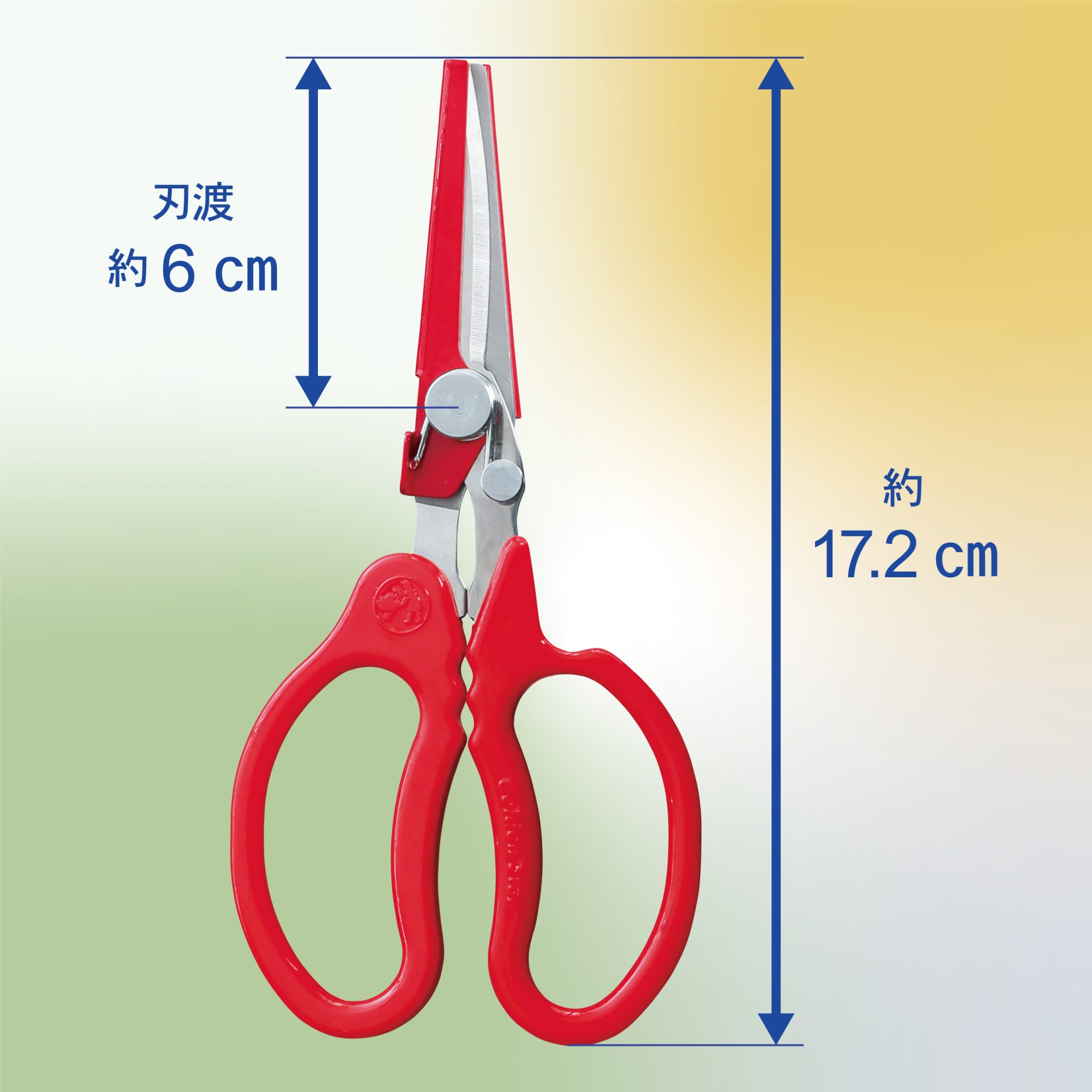 2319 - キンボシ株式会社