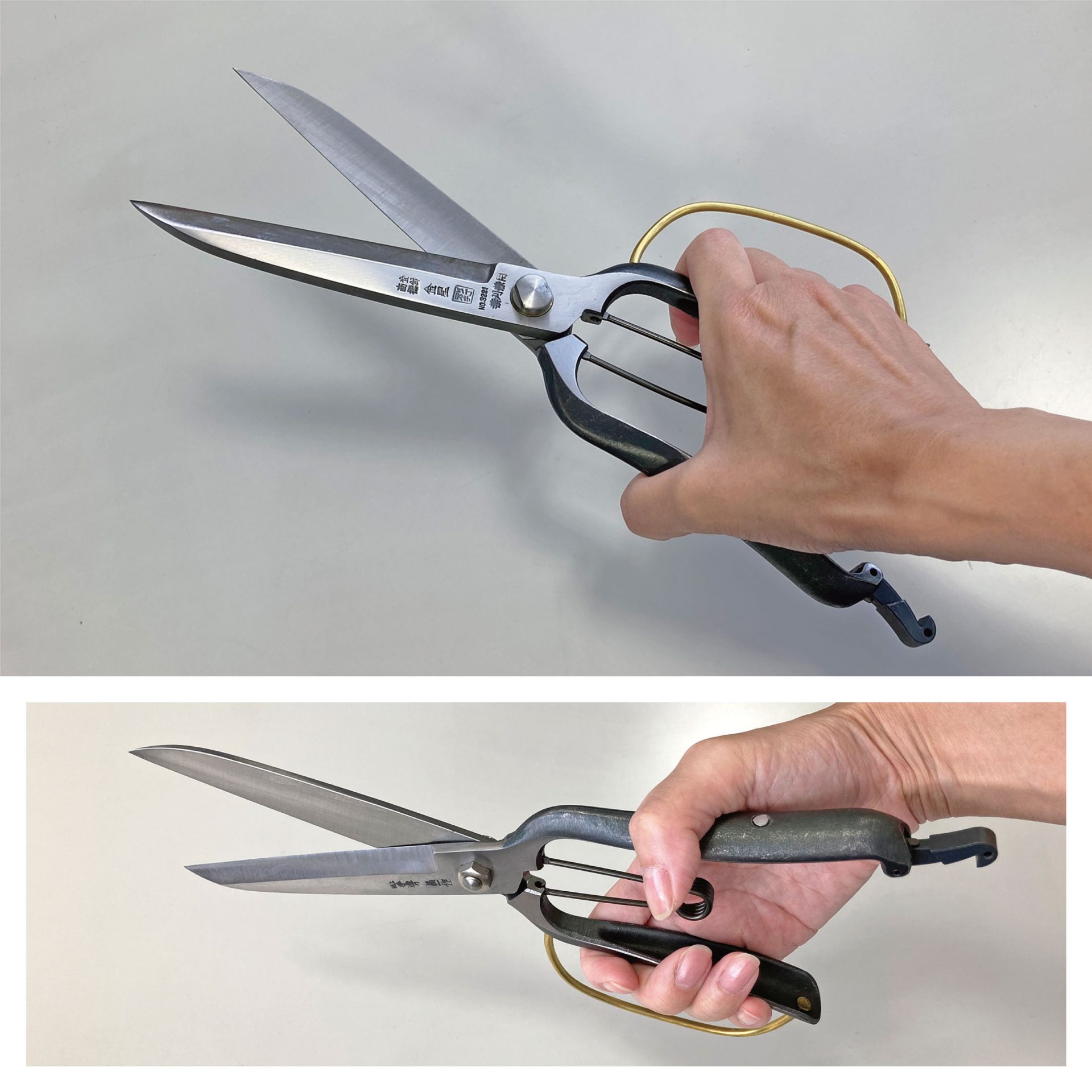 3221 - キンボシ株式会社