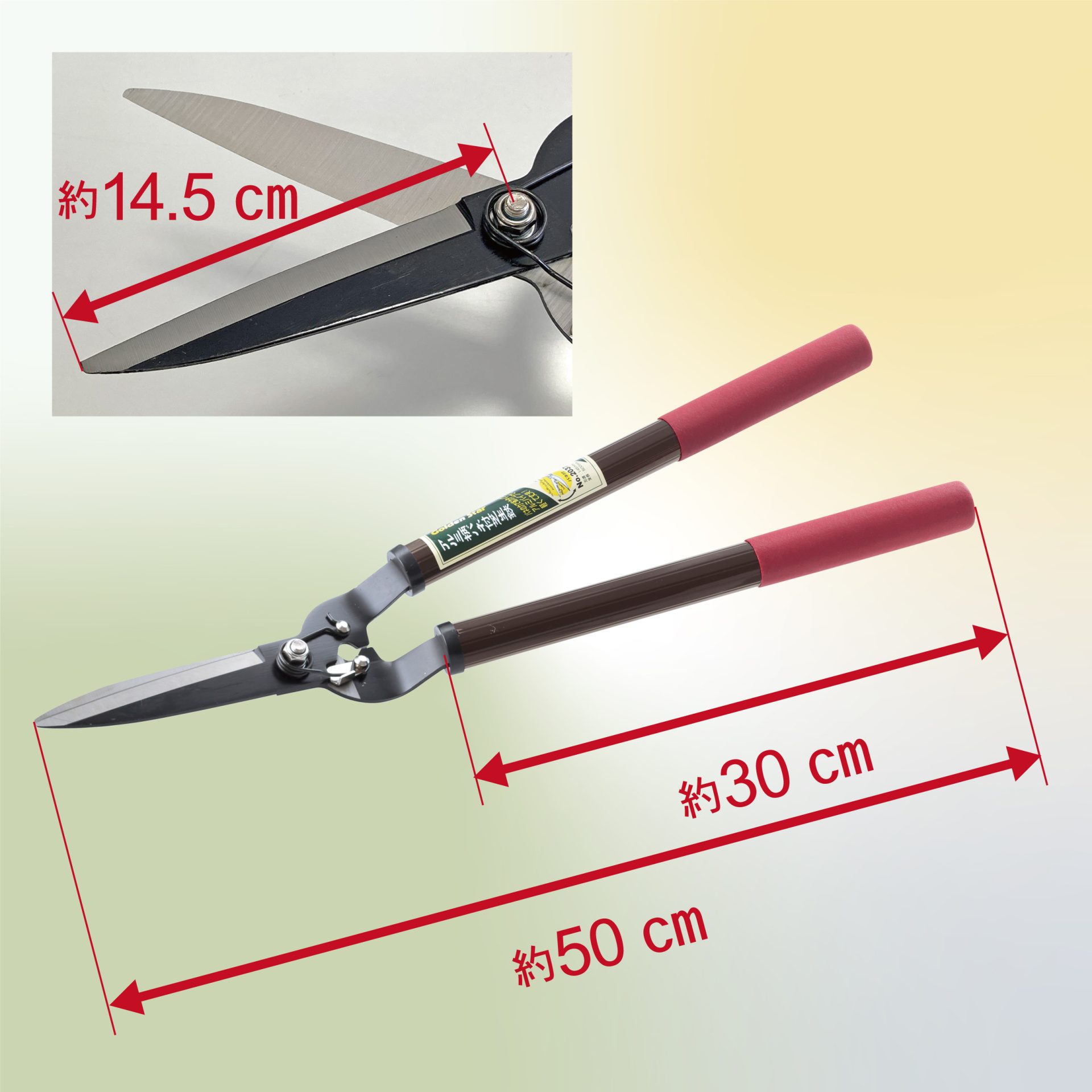 2037 - キンボシ株式会社