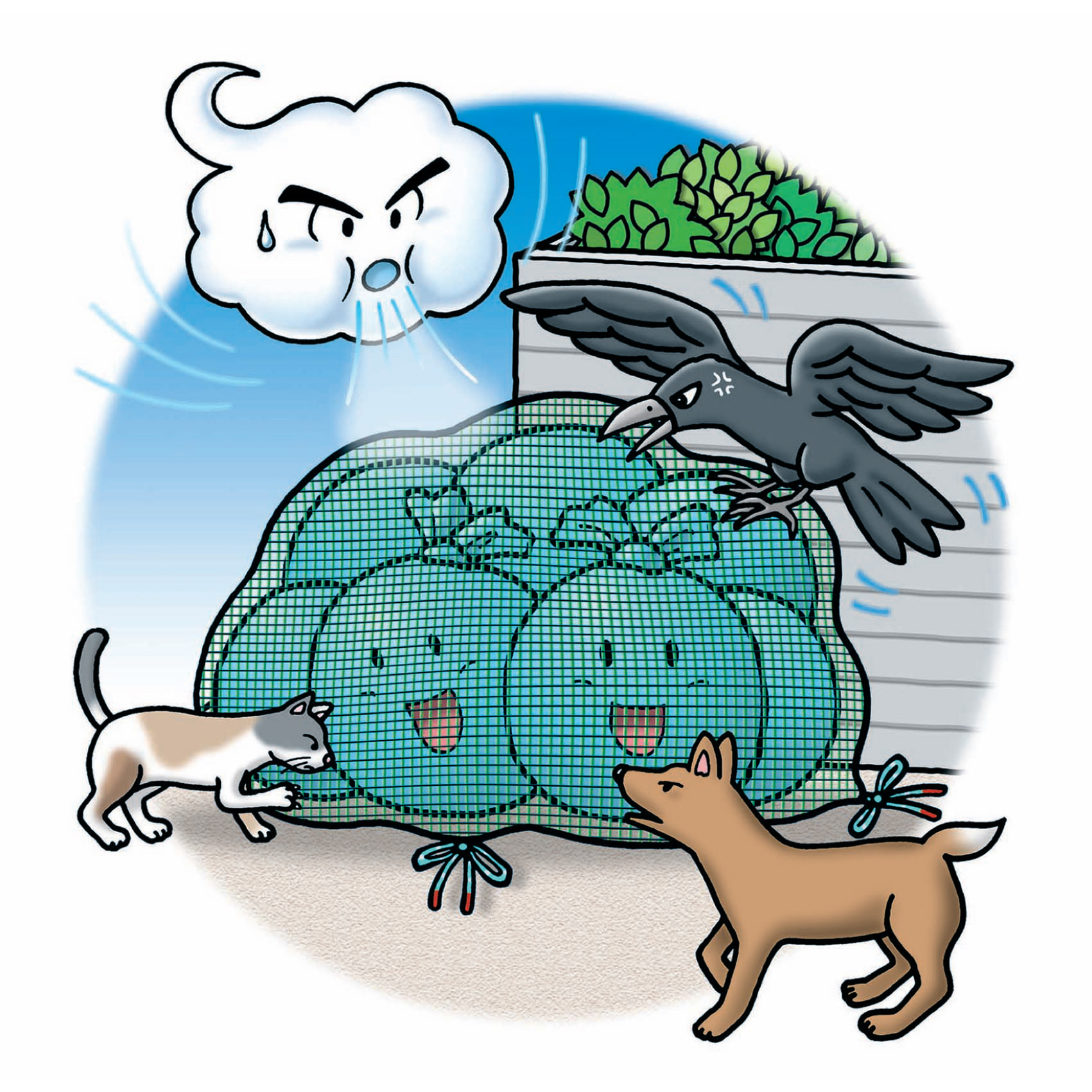 7004 - キンボシ株式会社