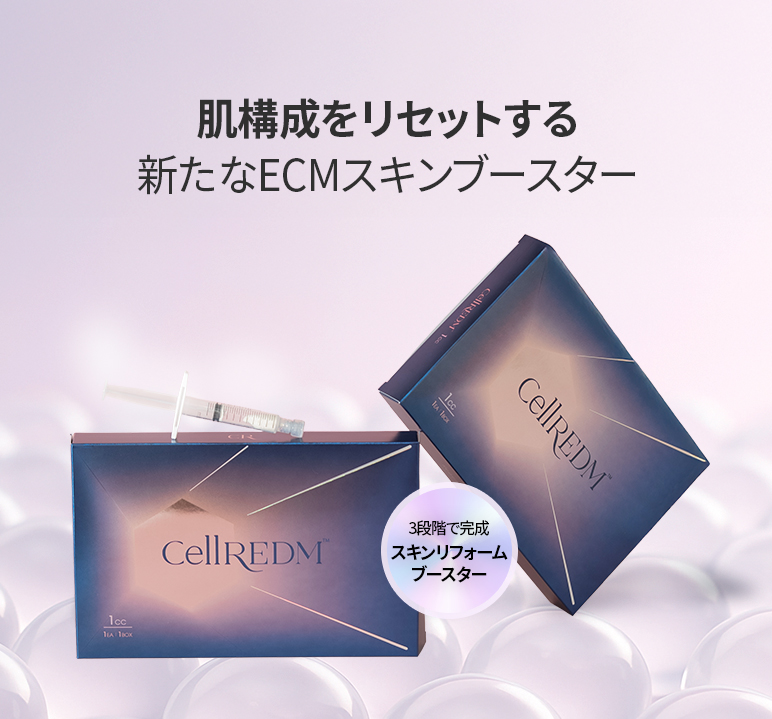 プムグローバル江南