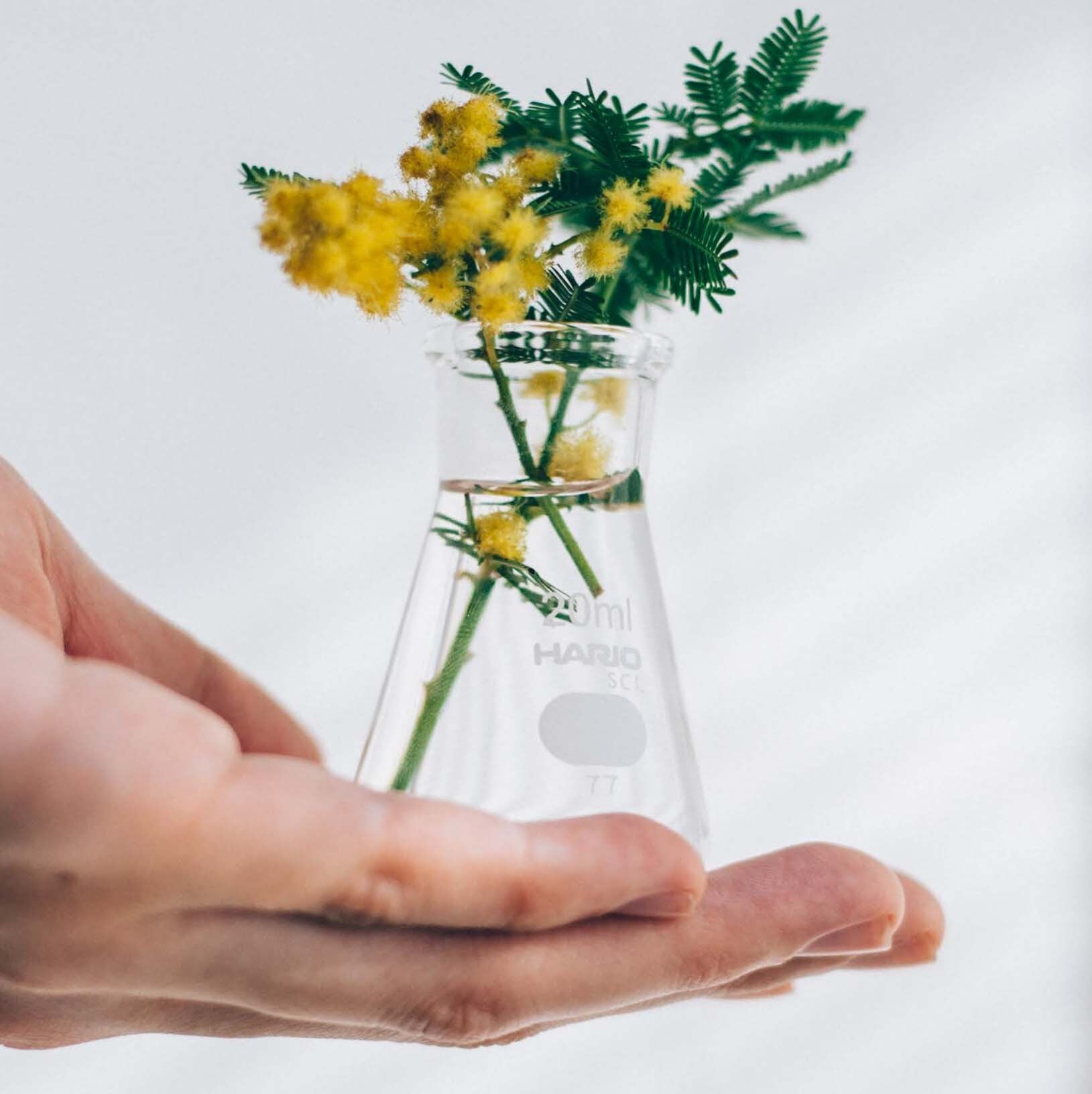Erlenmeyer Flask Vase