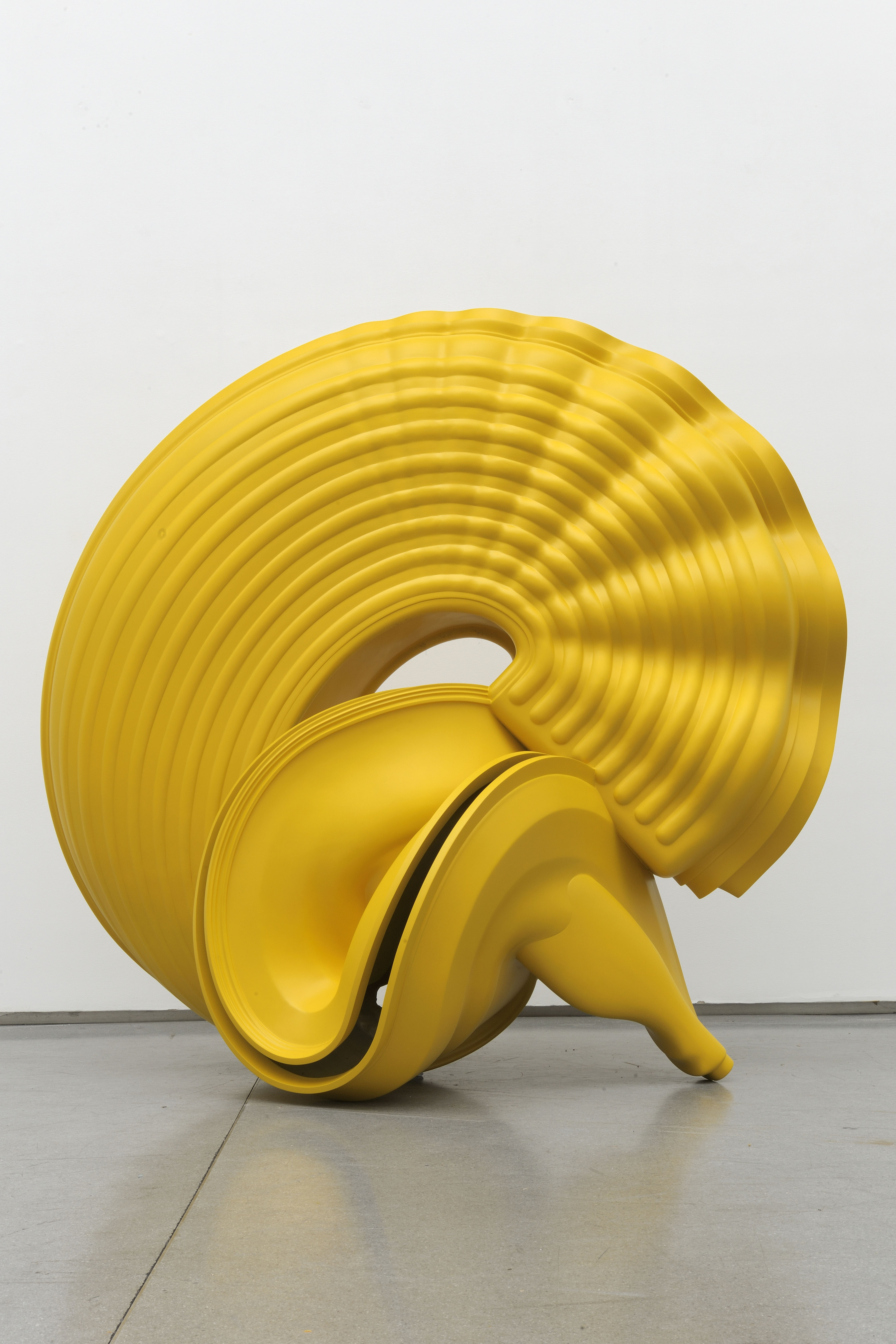 Tony Cragg: Seeing Things