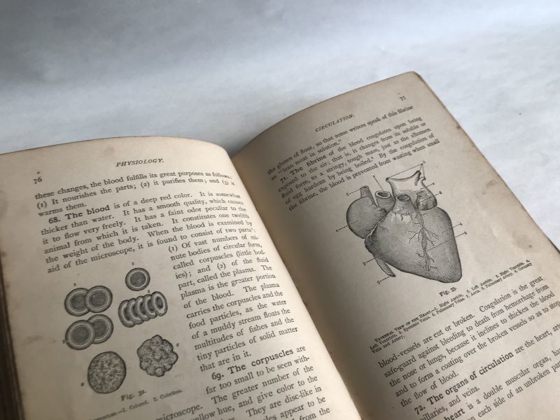 アンティーク医学書 海外古書