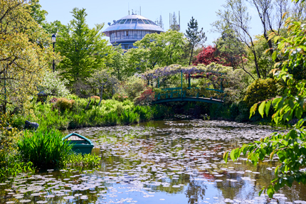 水連の庭 睡蓮の庭 | ガイドマップ | <比叡山> ガーデンミュージアム比叡 の