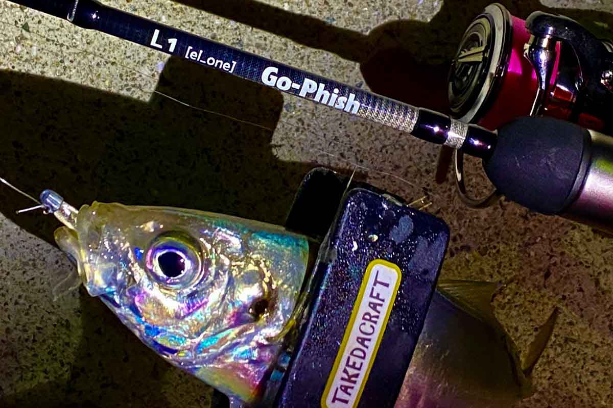 Go-Phish L1 torzite | Go-Phish