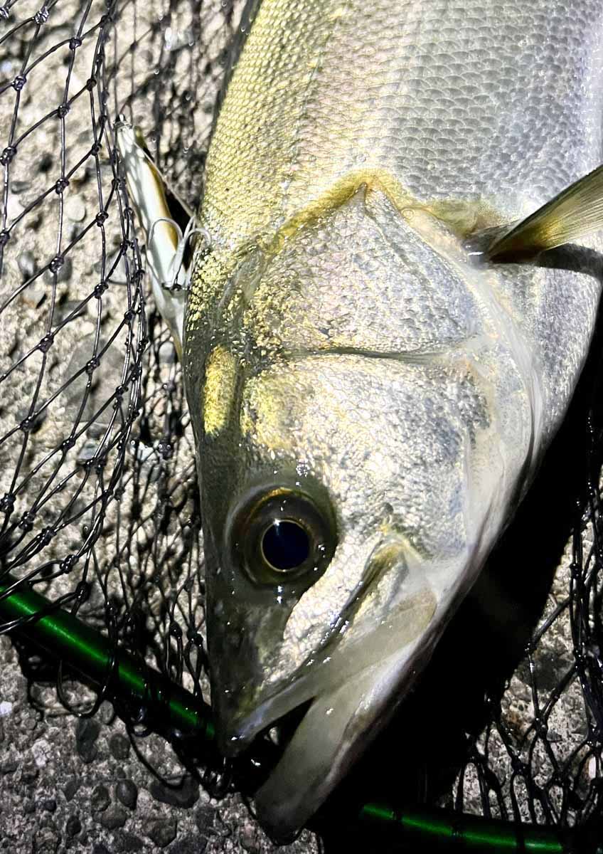 ul9 nine games2 torzite | Go-Phish