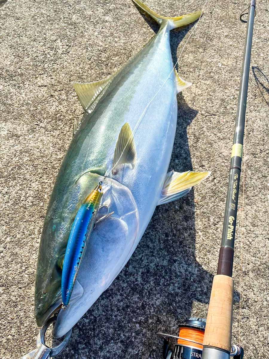 ⭐️美品激レア品⭐️ ゴーフィッシュTheTakeBacker10.6B ⭐️美品激