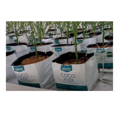 CANNA Coco Flex 8L (8L/2.11 GALLON) - (20/case) – GrowersHouse