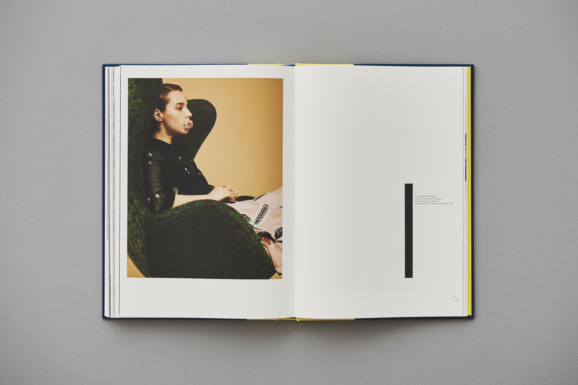 ripples 和訳冊子付き - minä perhonen