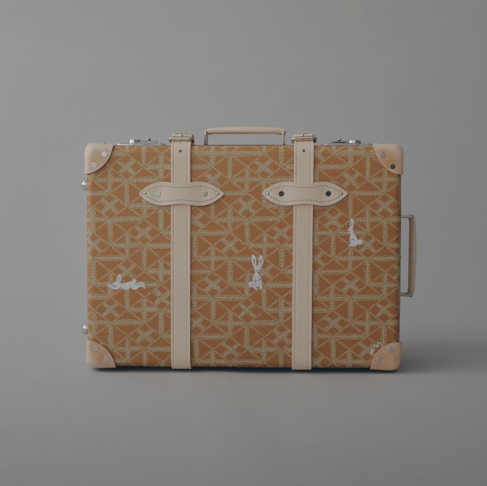 GLOBE TROTTER + paint small carry on - minä perhonen