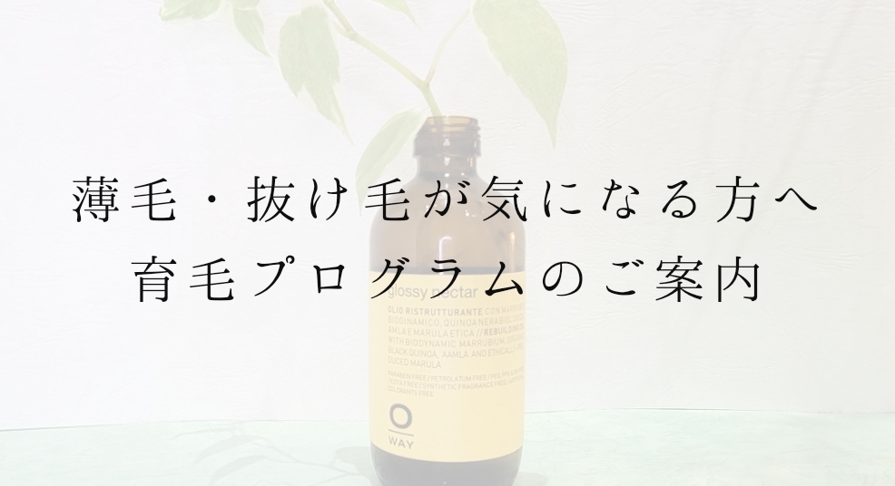 3種のヒト幹細胞培養液配合《RICH CELL LOTION リッチセルローション