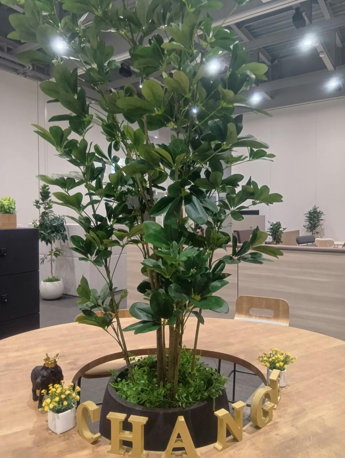 ボックスプランター GR5010 ウンベラータ H1700｜人工観葉植物 樹木