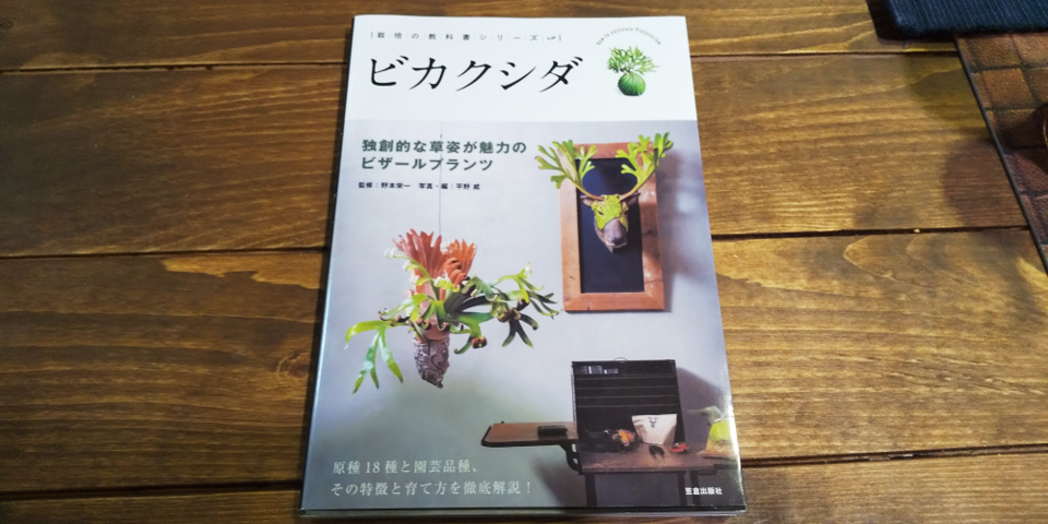 良本】「栽培の教科書シリーズ ビカクシダ」メリット4選～育て方・種類