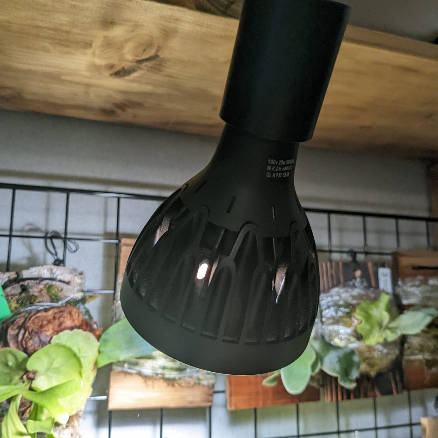 徹底レビュー】植物育成ライトGL-Xのメリット・デメリットを解説