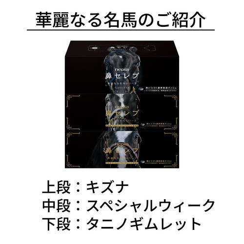 王子ネピア 鼻セレブ ティシュ 華麗なる名馬シリーズ 200組3個 Green