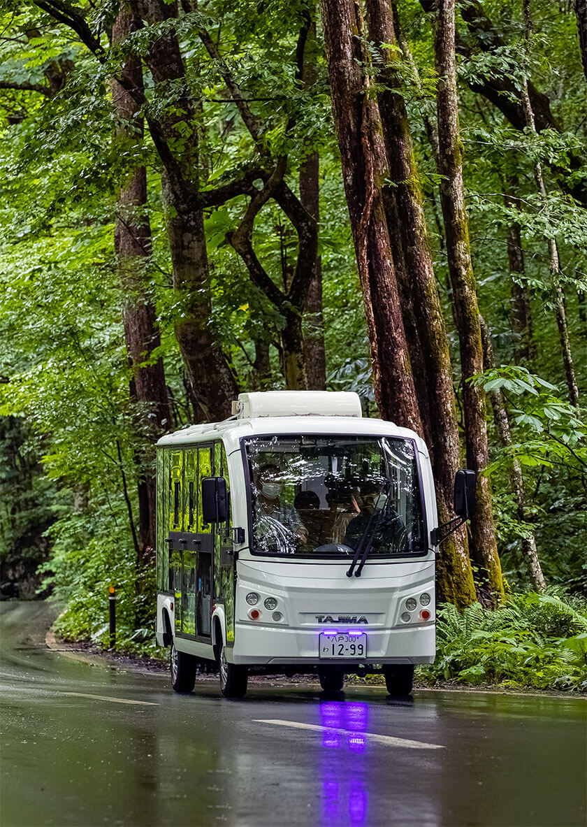 グリスロで楽しむ奥入瀬渓流ネイチャーツアー｜新感覚のトレッキング