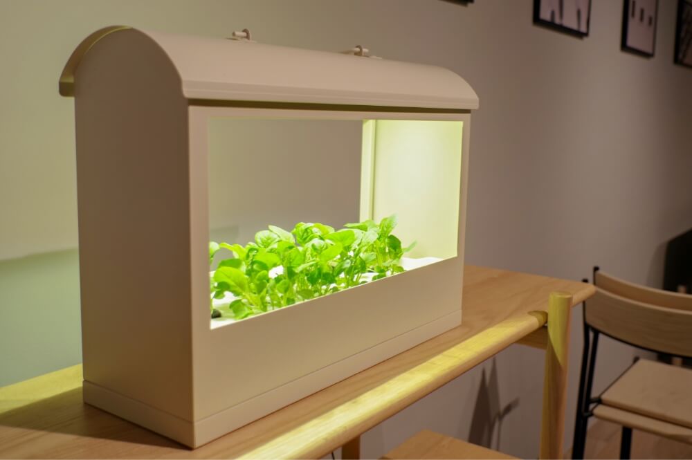 LED水耕栽培器「灯菜（アカリーナ）」で野菜を育ててみよう