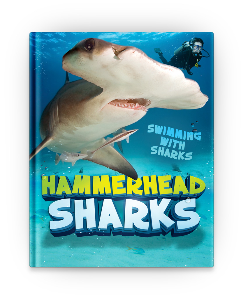 Hammerhead Sharks – eBook – Gray Duck