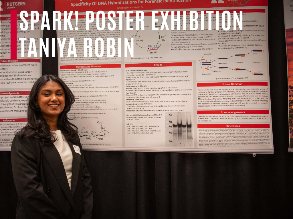 SPARK! (Showcase of Projects, Art, Research, and Knowledge