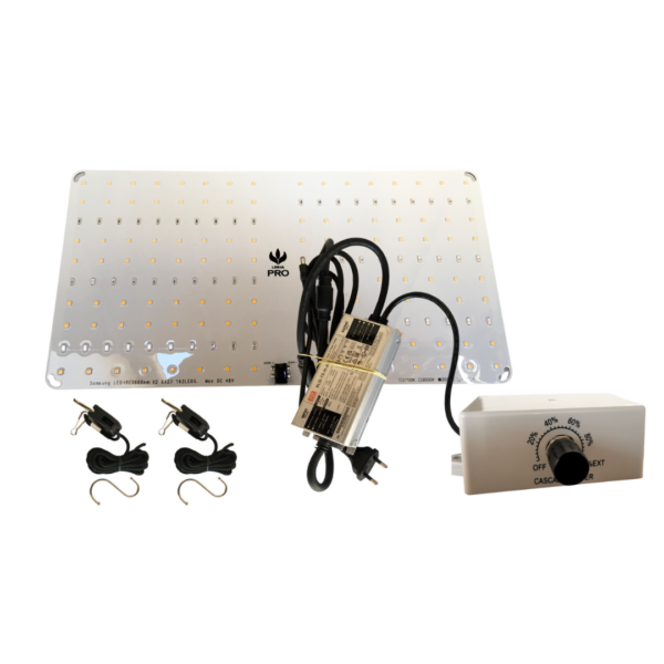 Quantum-Board-75W-PRO-Chip-