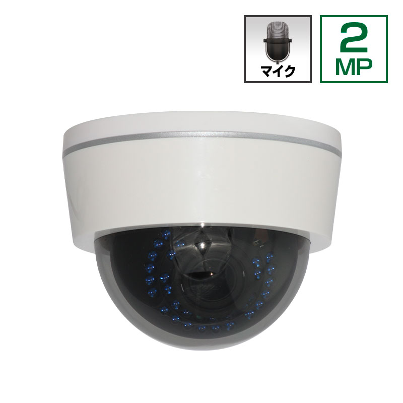 SELEN 赤外線投光器内蔵防水型AHDドームカメラ SAHG281 SAH-G281｜株式