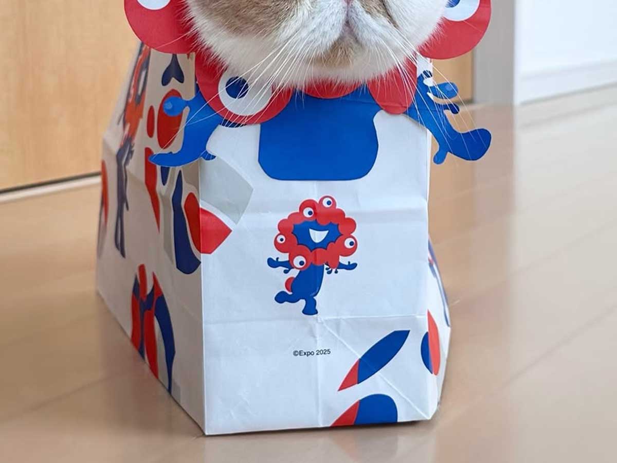ミャクミャク紙袋』を作ったら？ 完成品を見た猫に「国宝に認定」「何