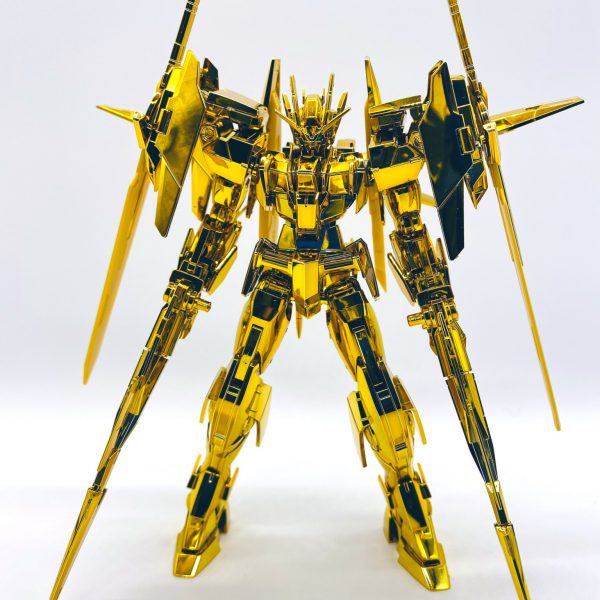 HGガンダムダブルオーダイバーエース（ゴールドコーティング）｜はく