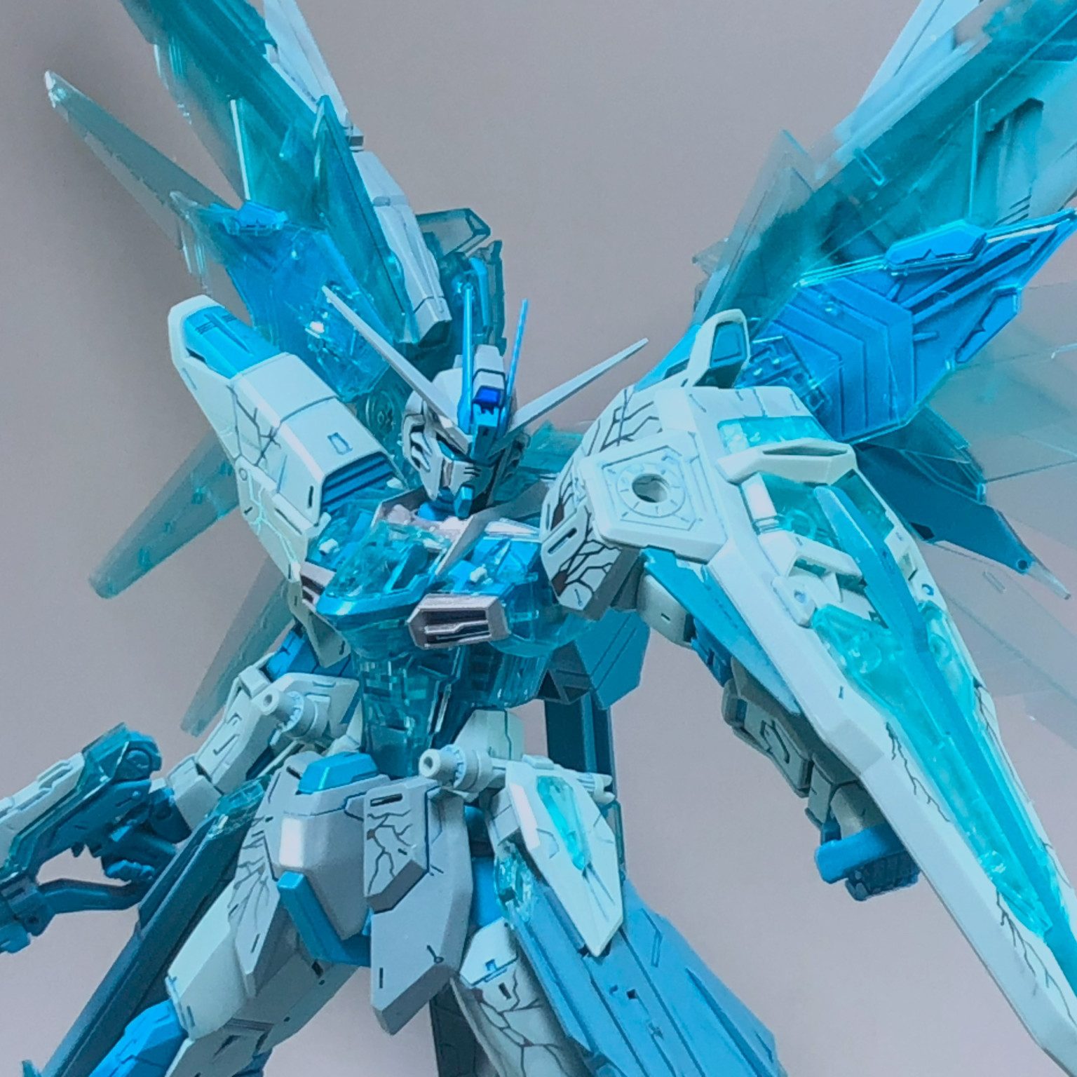 MG フリーダムガンダム クロスコントラスト CROSS CONTRAST 新品 MG 1