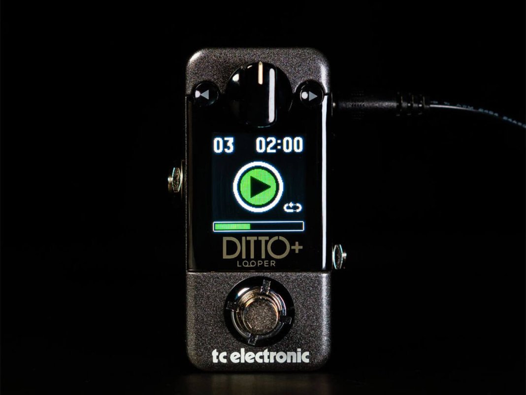 tc-ditto@1400x1050-1068x801.jpg