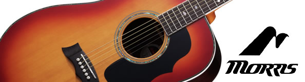 Morrisからパッシブタイプのエレアコ「G-35」、クラシックな