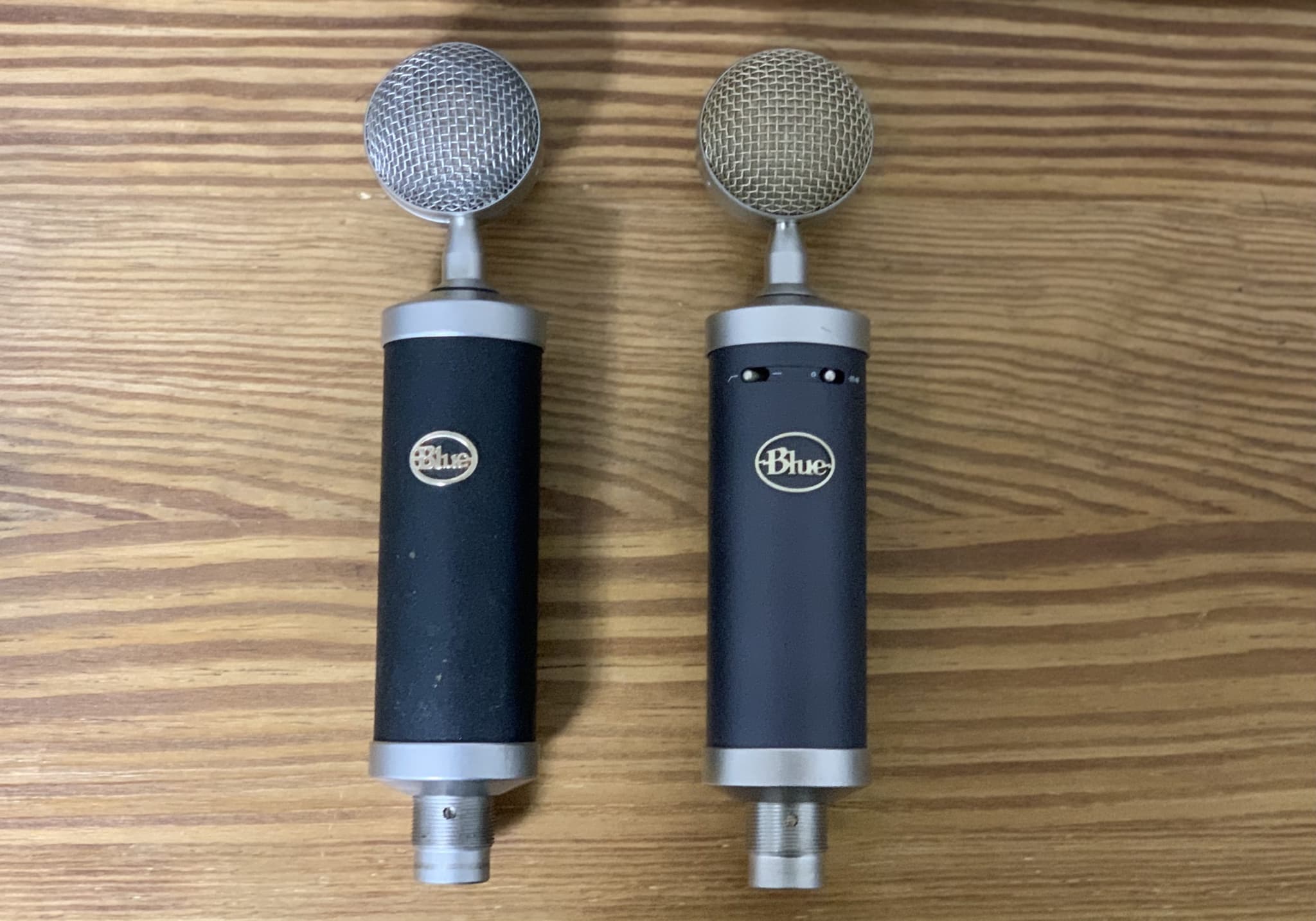 コスパ最強のコンデンサーマイク!!〜Blue Baby Bottle SL 使用レビュー