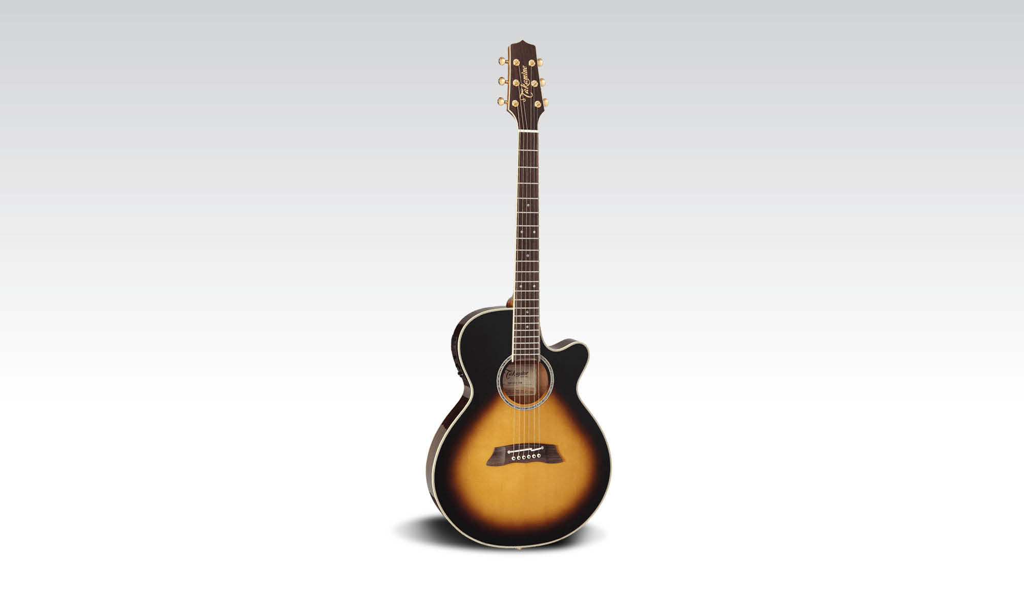 Takamine TSP138C