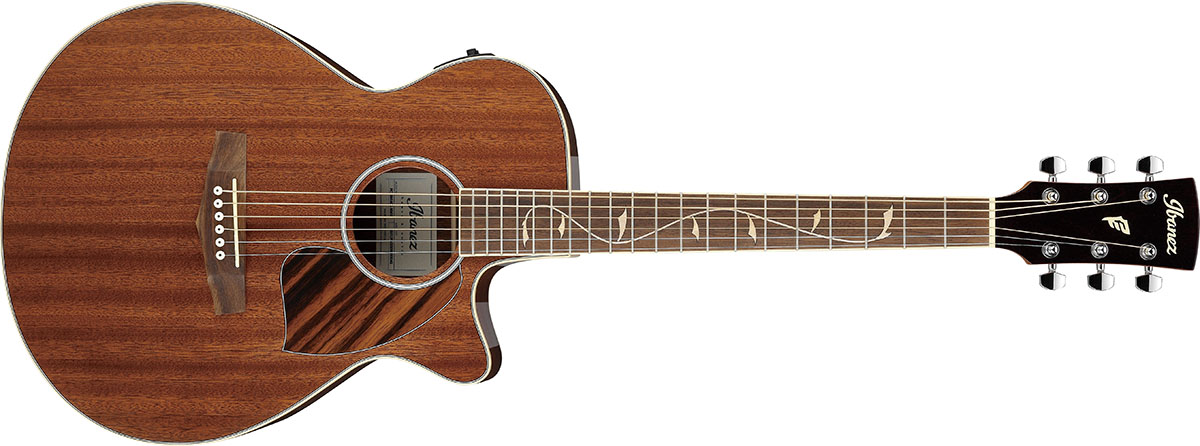 ウッドワークとデザイン性が魅力のアイバニーズのエレアコ3モデル