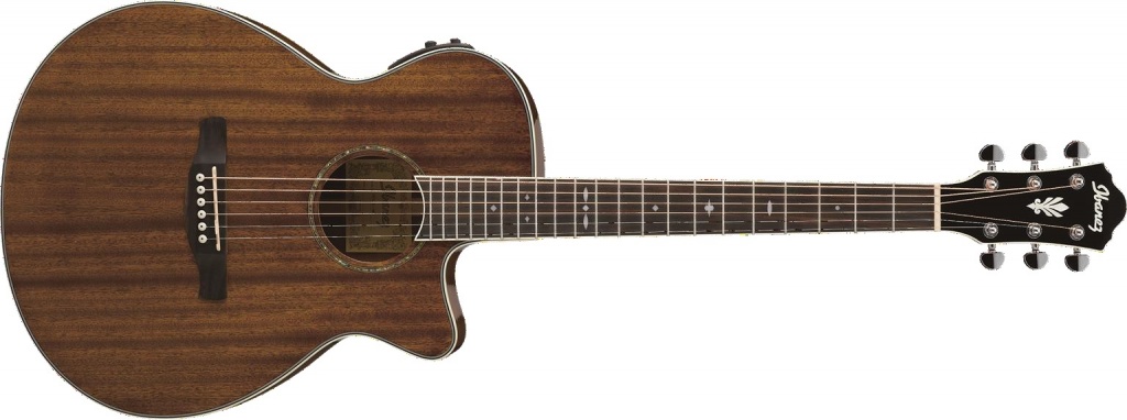 エレアコギター】Ibanezより抱えやすいジャスト・サイズのオール