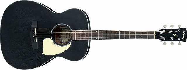 アコースティックギター】-Ibanez-AEG10Ⅱ新色追加！個性的なブラック