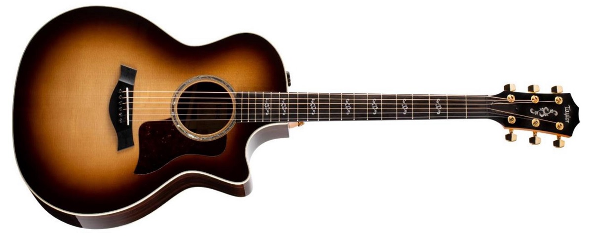 Taylor Limited Edition 414ce Rosewood V-Class SEB｜限定カラーの
