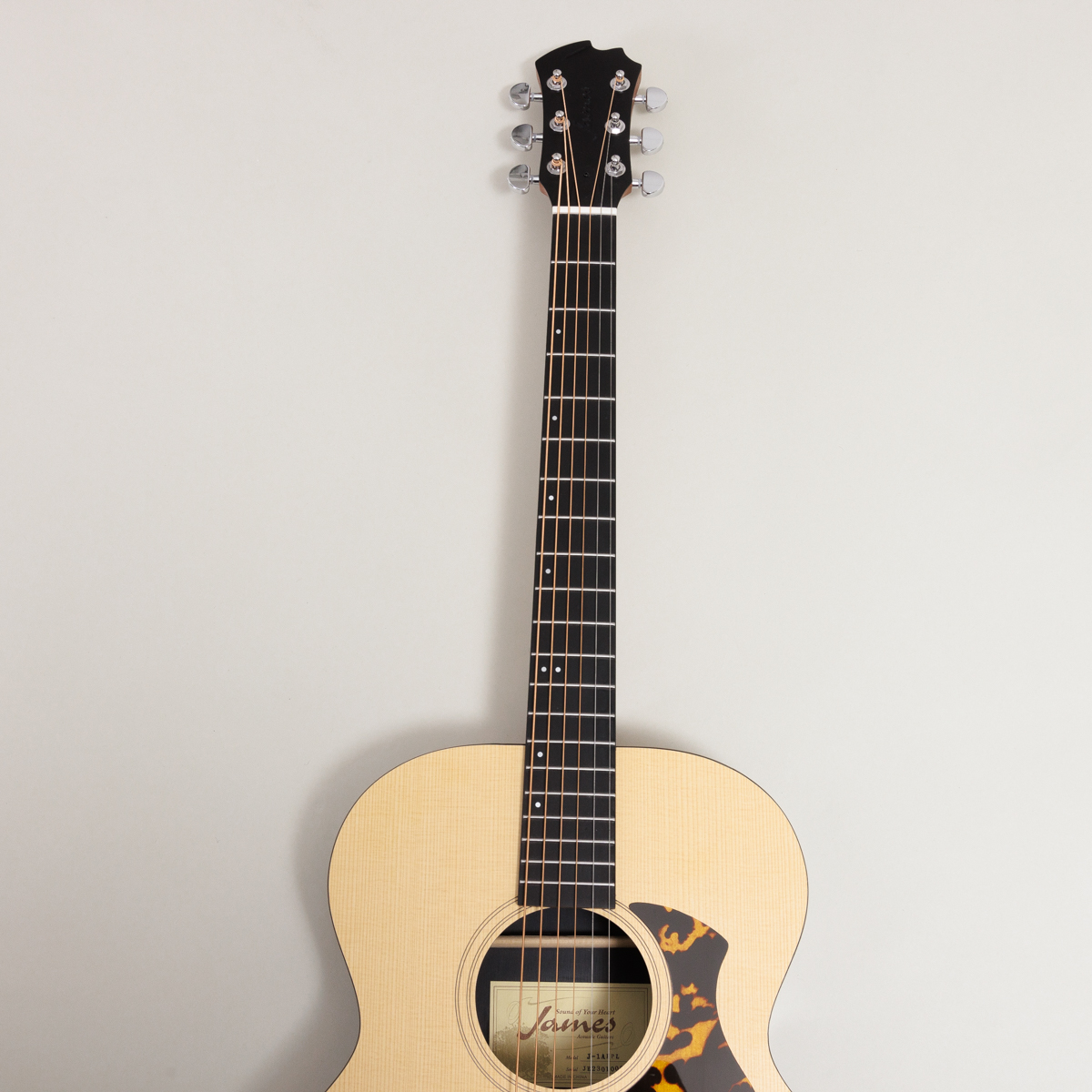 James J-1A & J-1D｜耐久性に優れ、湿度や温度変化にも強いギターが2