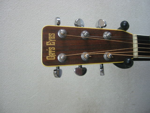 Cat's Eyes CE-600 | 酒井 誠・ギタリスト Makoto Sakai