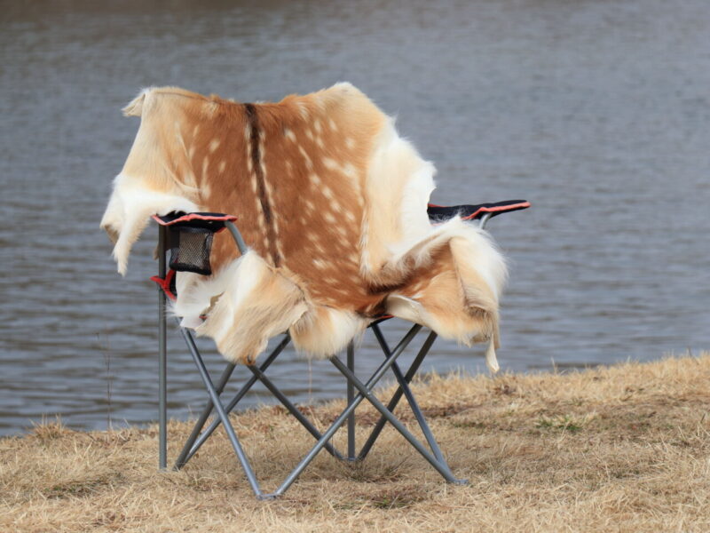 エゾシカ毛皮のラグマット、展示販売しています 【YUKARA AUTO CAMP