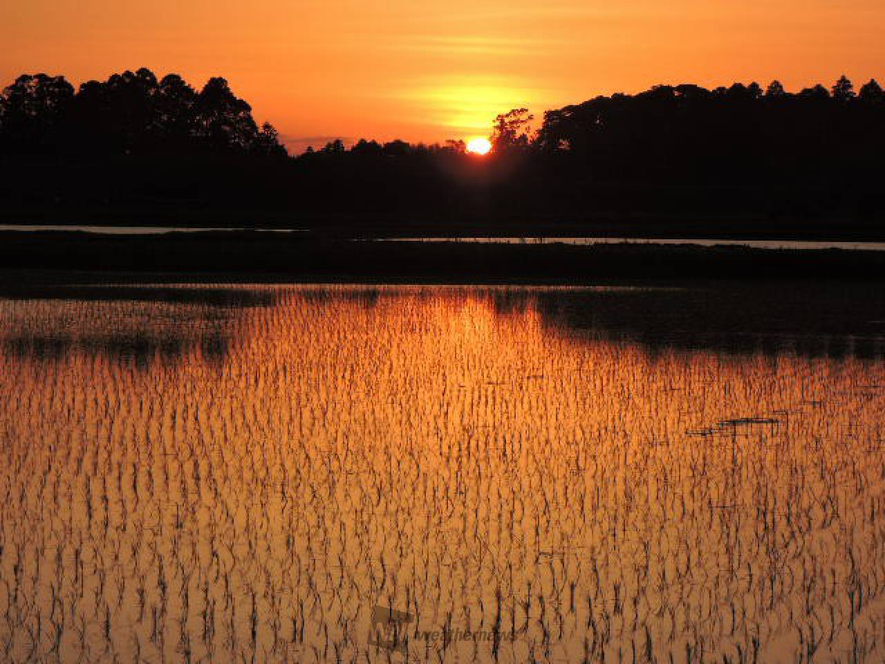 夕焼けタイム 注目の空の写真 ウェザーニュース
