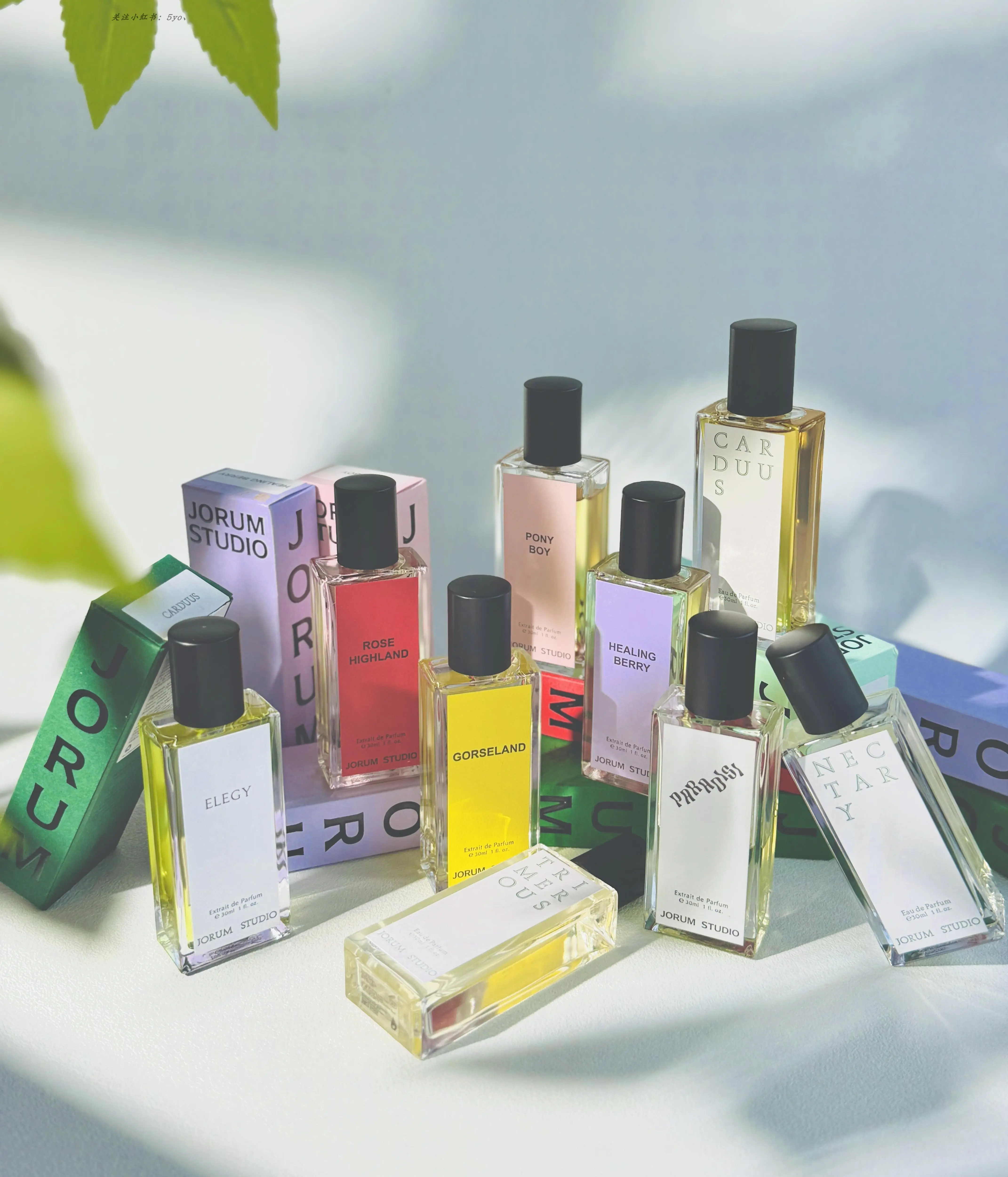 新品未使用 JORUM STUDIO PARADISI 30ml 箱入り 楽天市場】【正規取扱