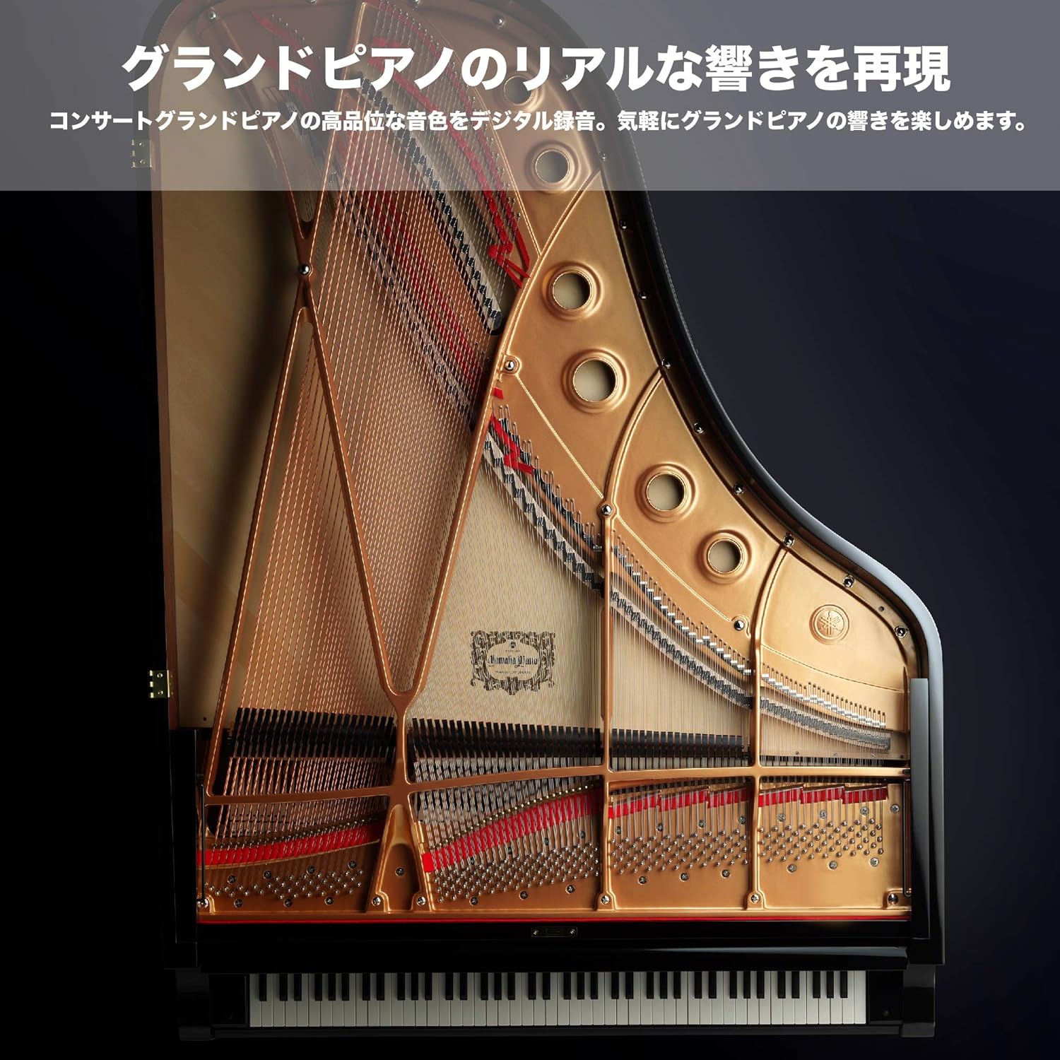 月額4,980円レンタルプラン：YAMAHA 電子ピアノ P-45B ブラック – GYMGATE