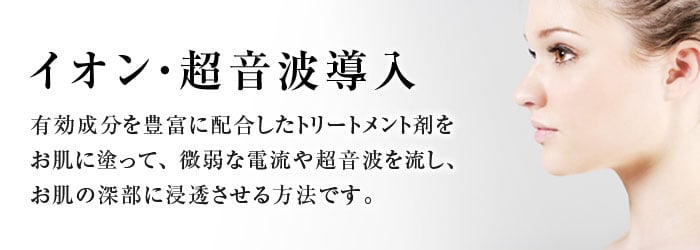イオン・超音波導入/イオンザイムDF－Ⅱ 新宿御苑美容クリニック